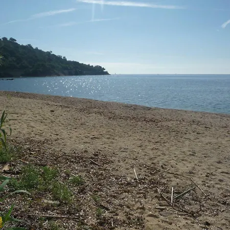 Grand Azur étoile Marine Fnc Guicle